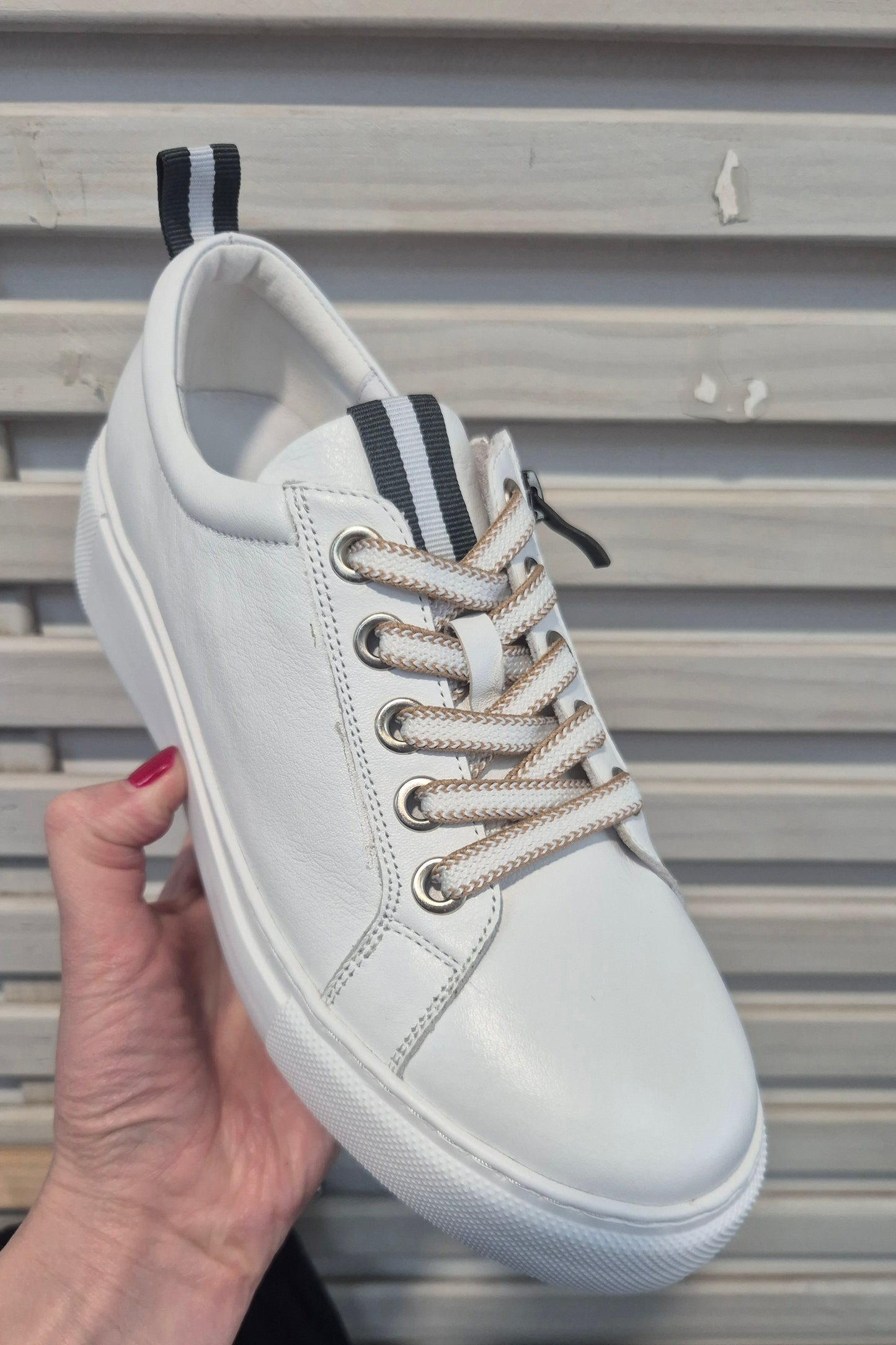 Romney Sneaker - White