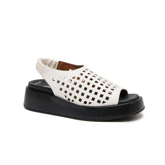 Zoot Box - Ivory/Black