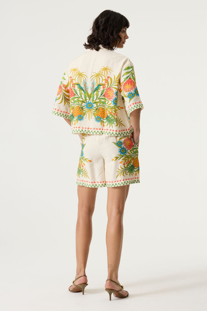 Print Short - Tutledove