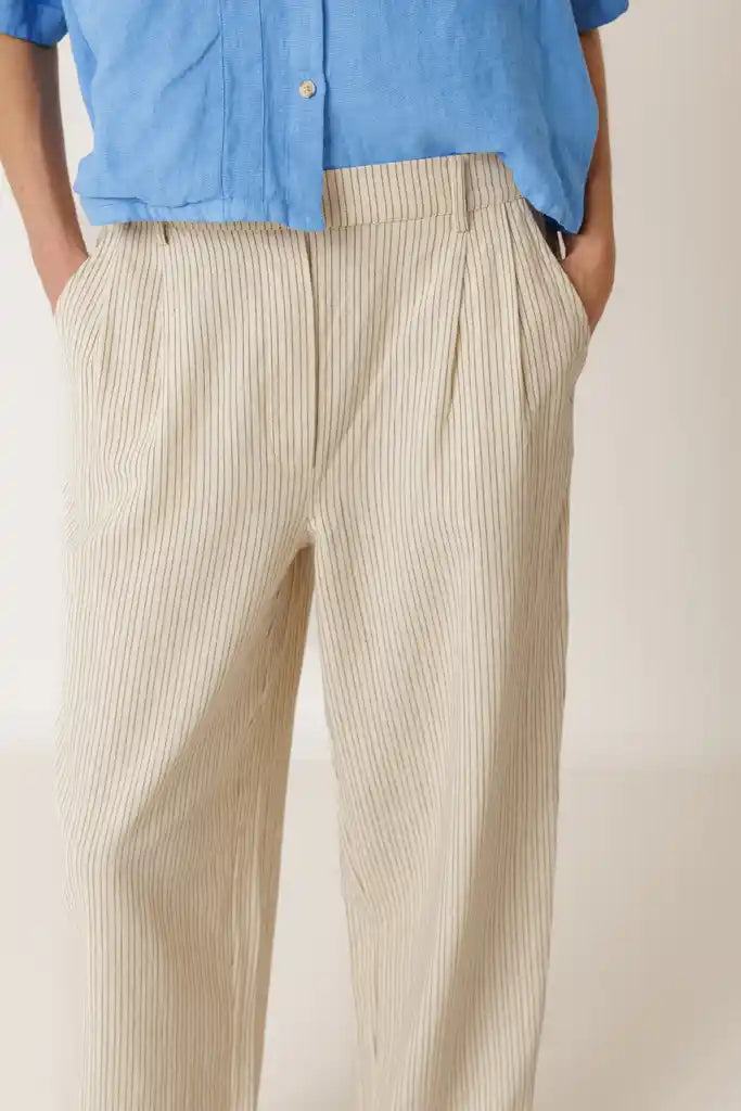 Pleated Pinstripe Pants - Crudo