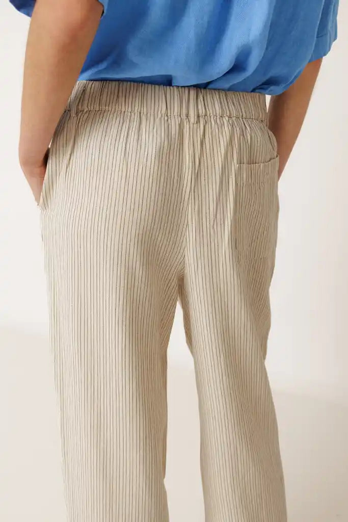 Pleated Pinstripe Pants - Crudo