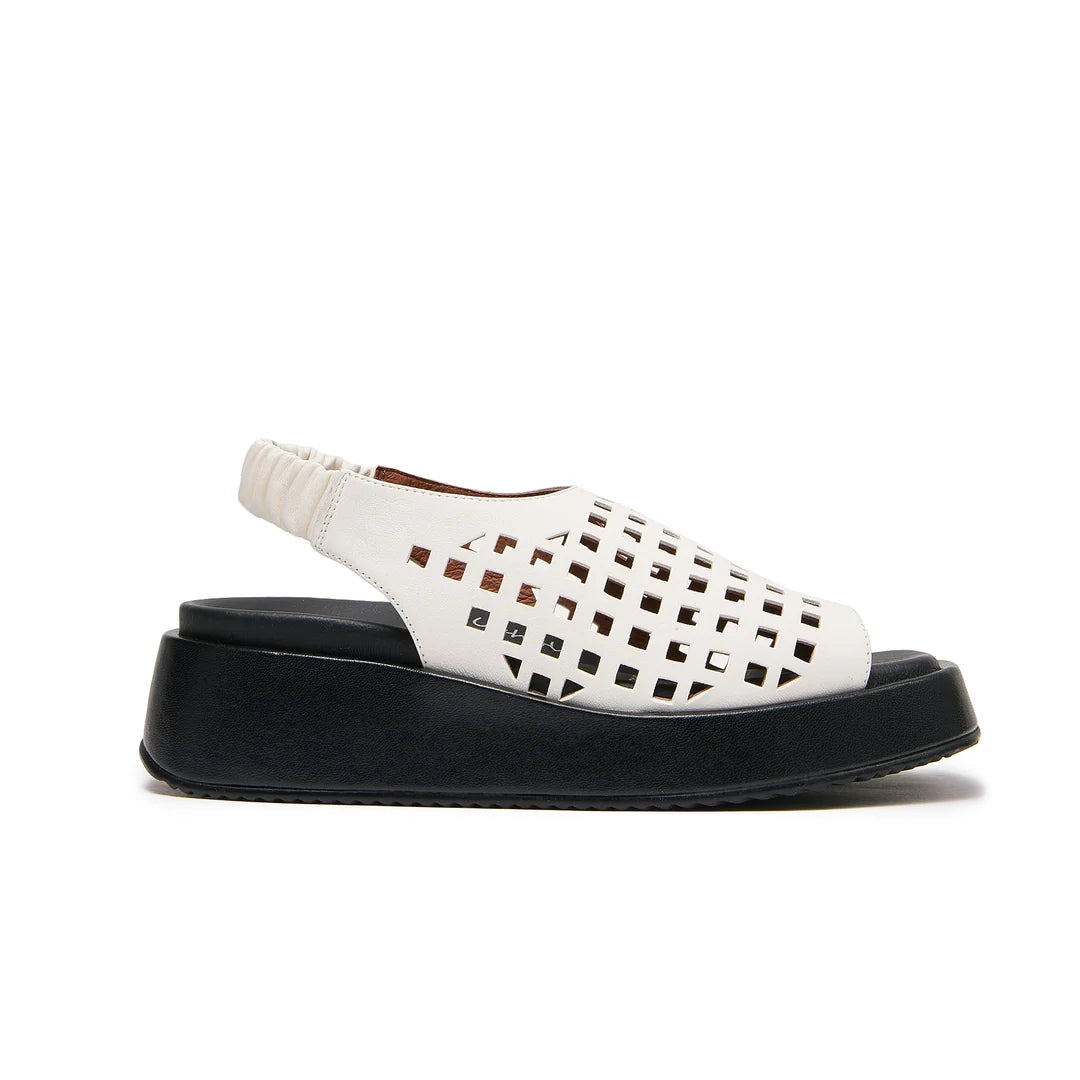 Zoot Box - Ivory/Black