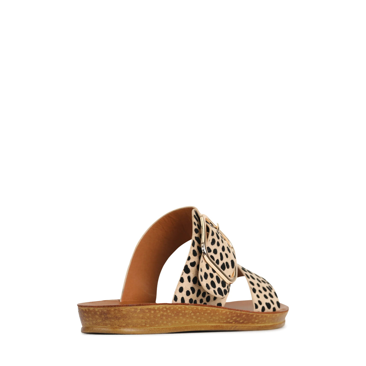 Doti - Cheetah
