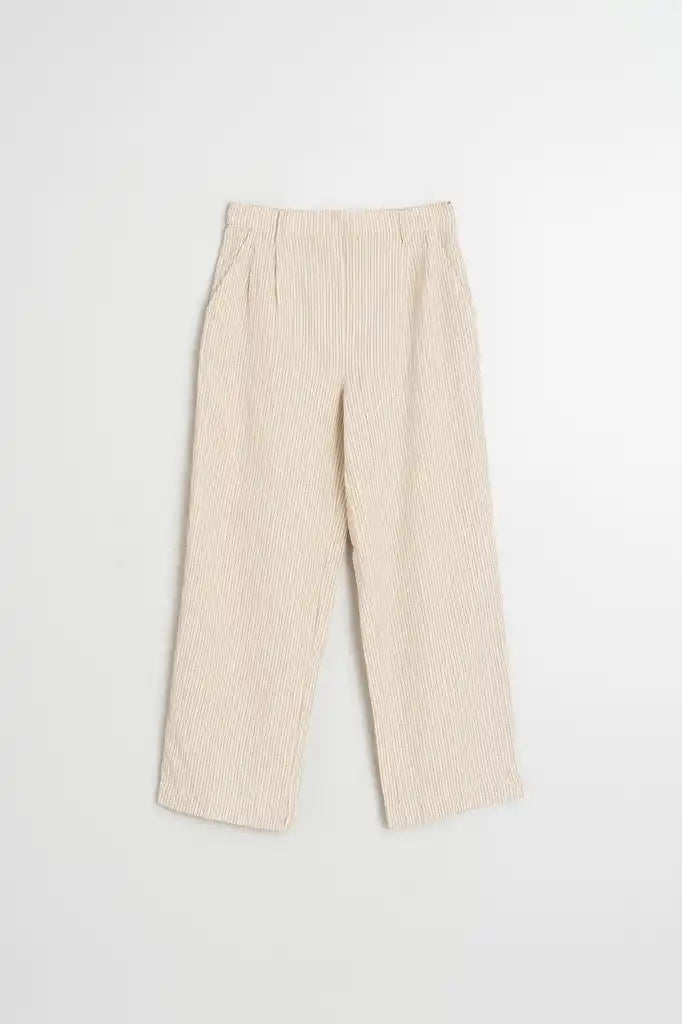 Pleated Pinstripe Pants - Crudo