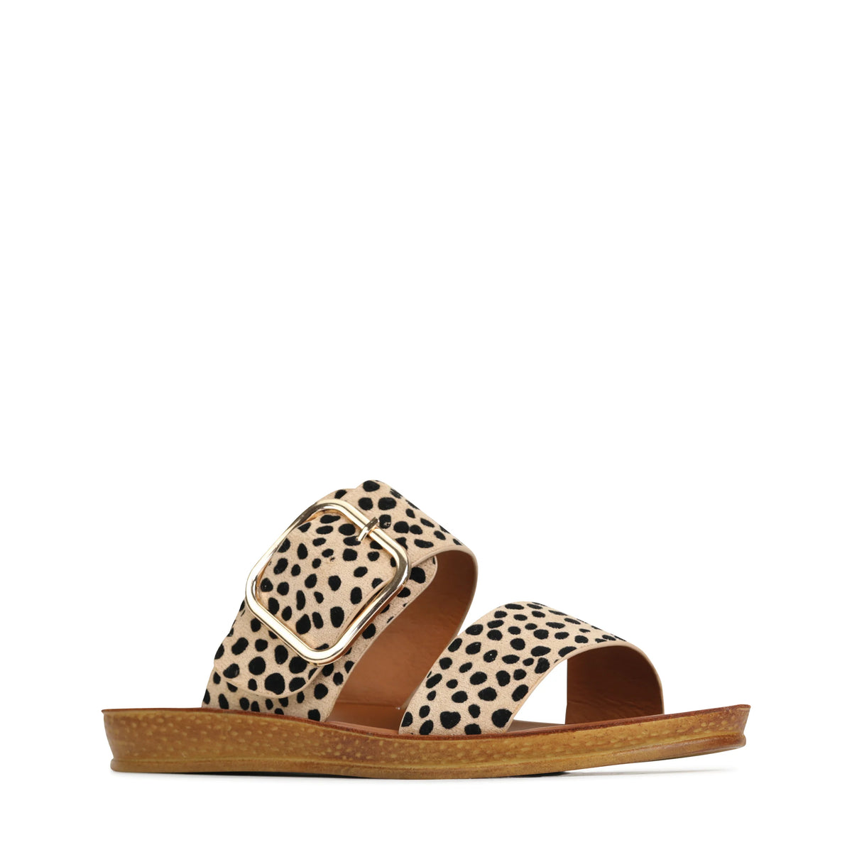Doti - Cheetah