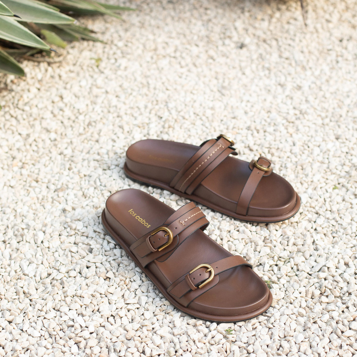 Los Cabos Valise - Chestnut