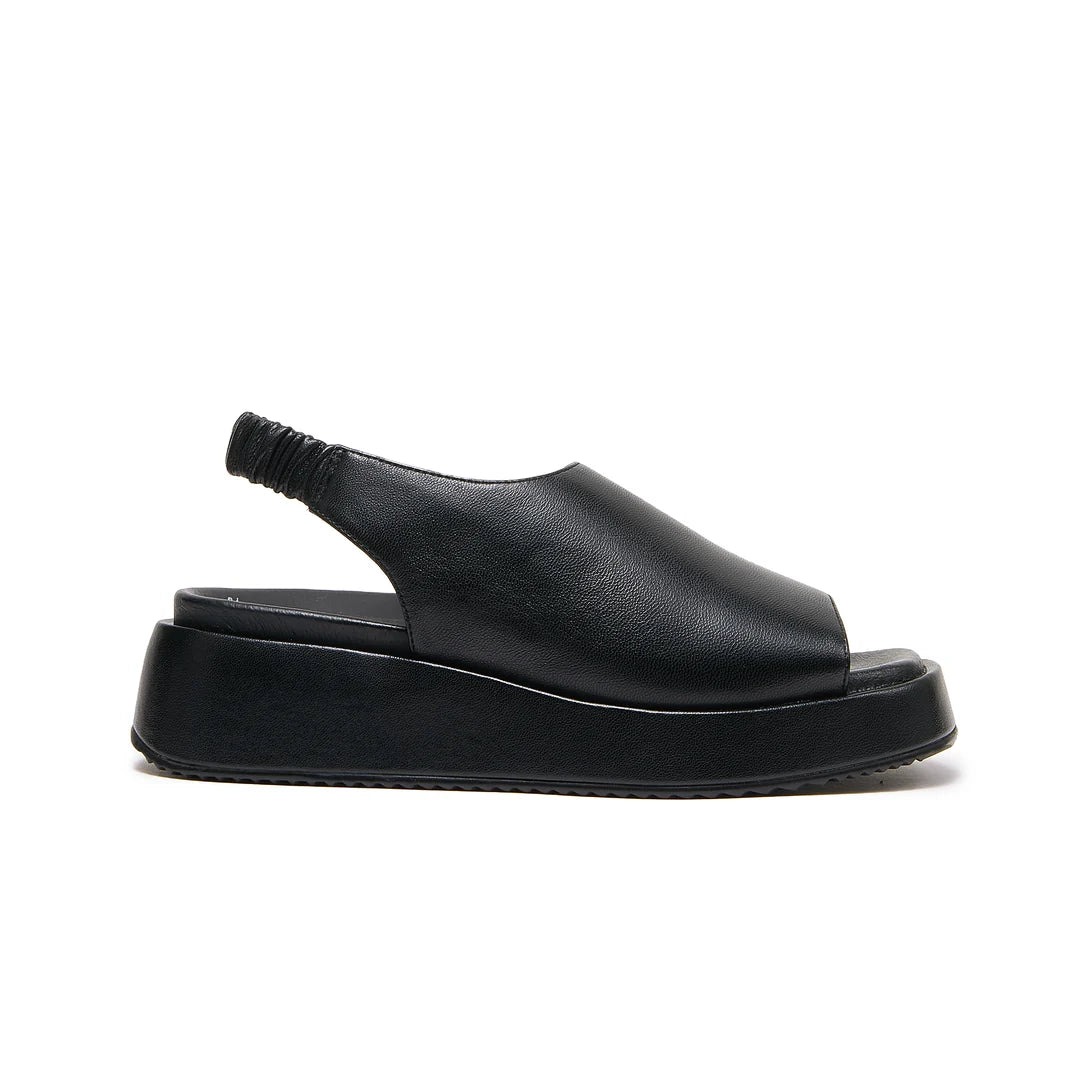 Zootie - Soft Black