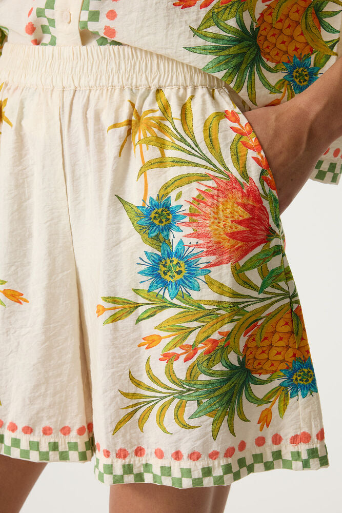 Print Short - Tutledove