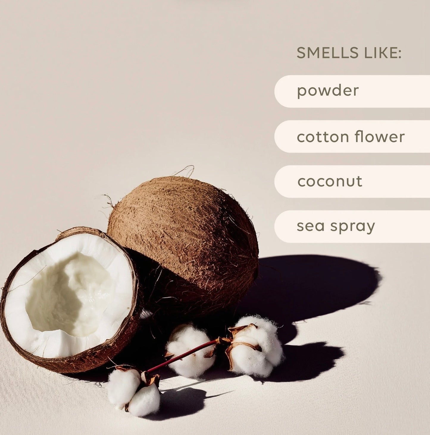 al.ive Reed Diffuser - Sea Cotton & Coconut